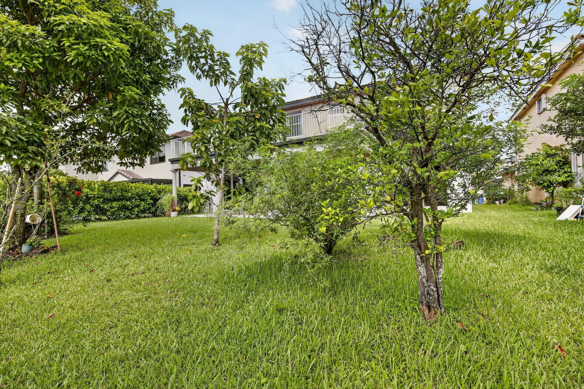 Property photo 59