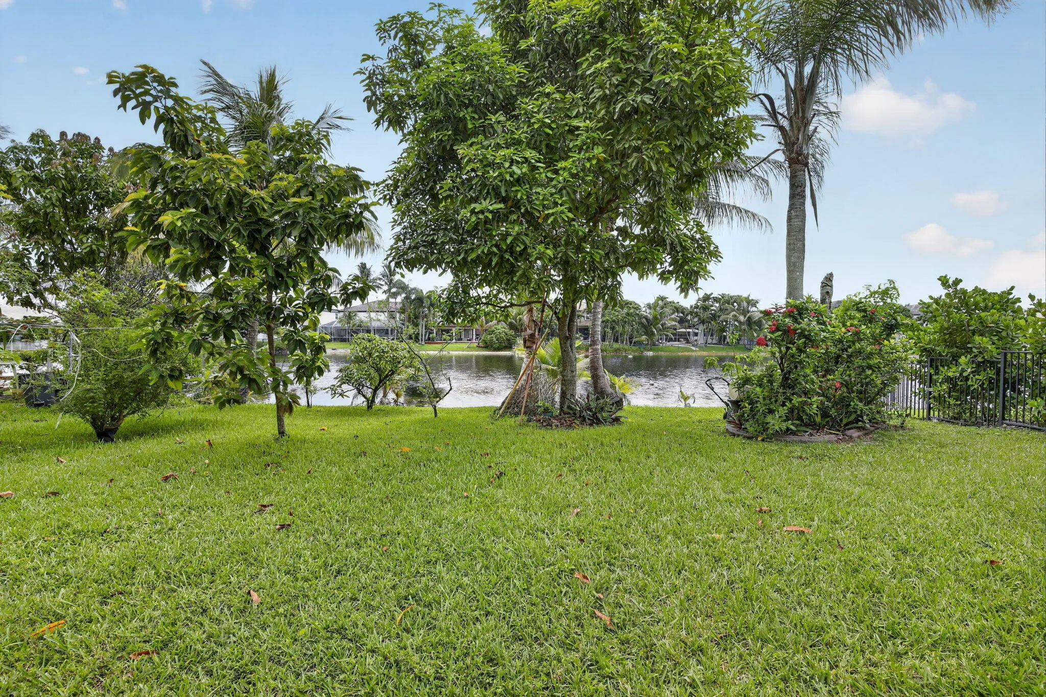 Property photo 51