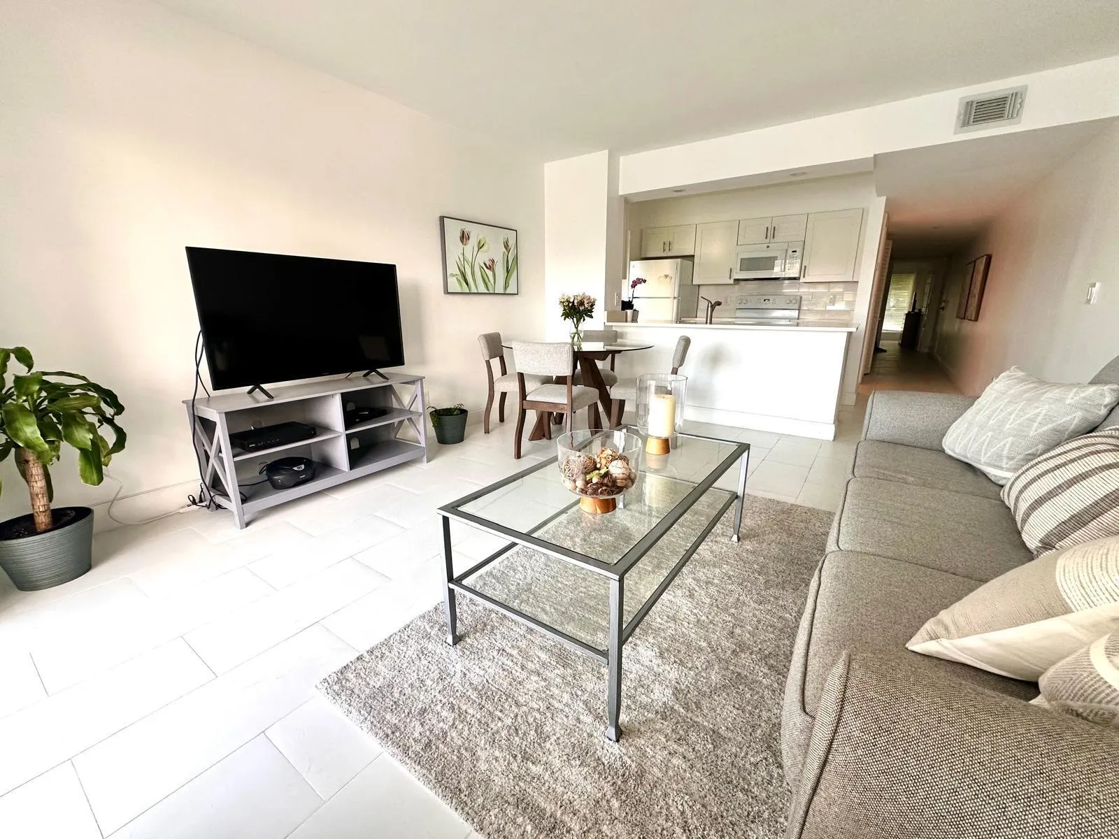 Living Area / Kitchen