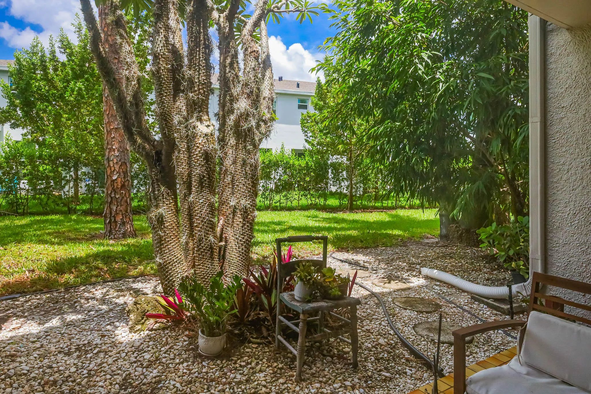 Patio Garden