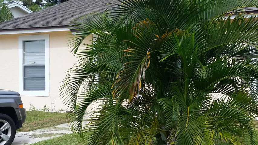 20160906_165850