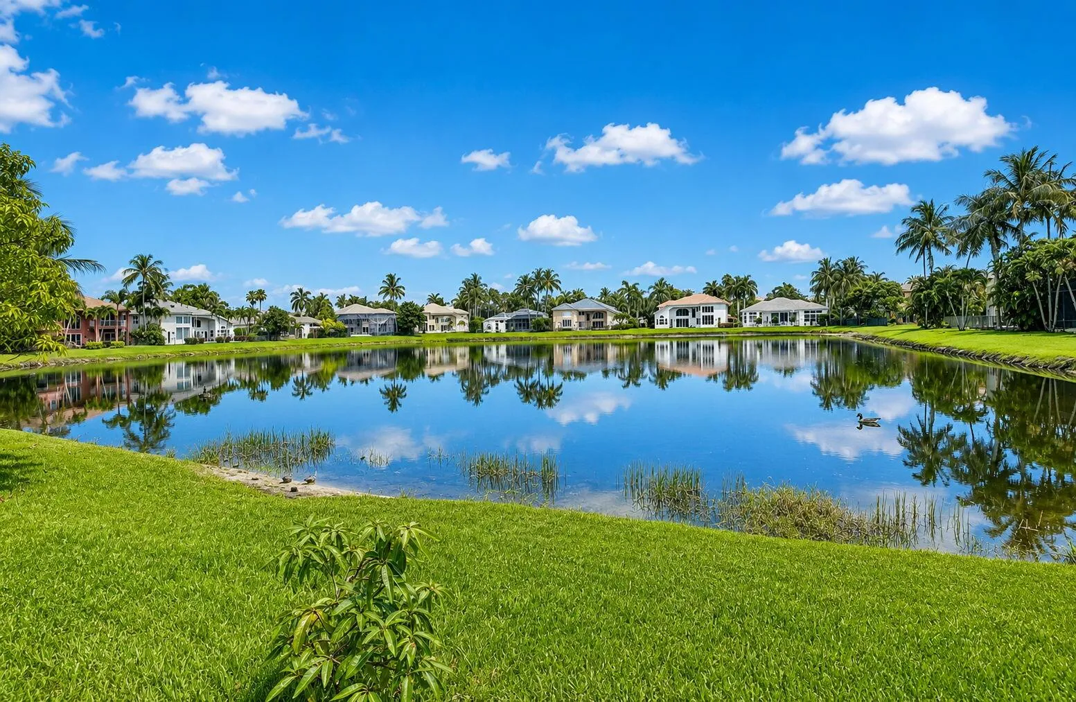 Lake View