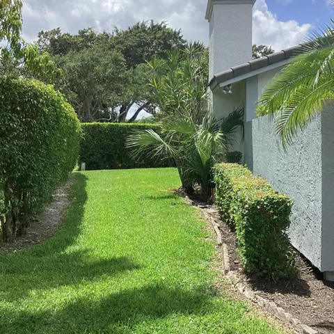 Side Left Yard