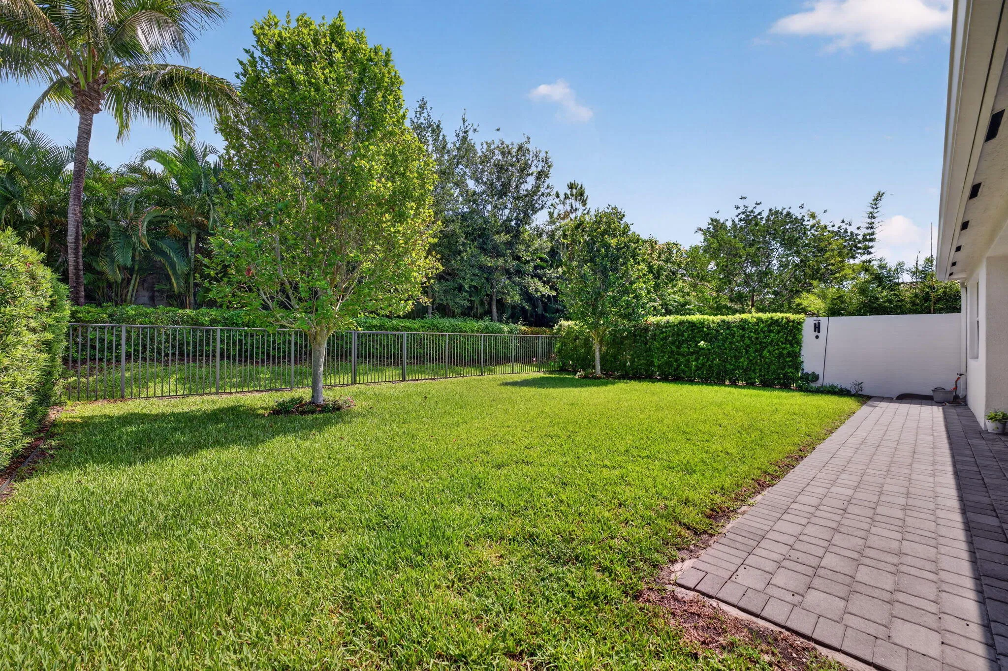 36-web-or-mls-DSC01932