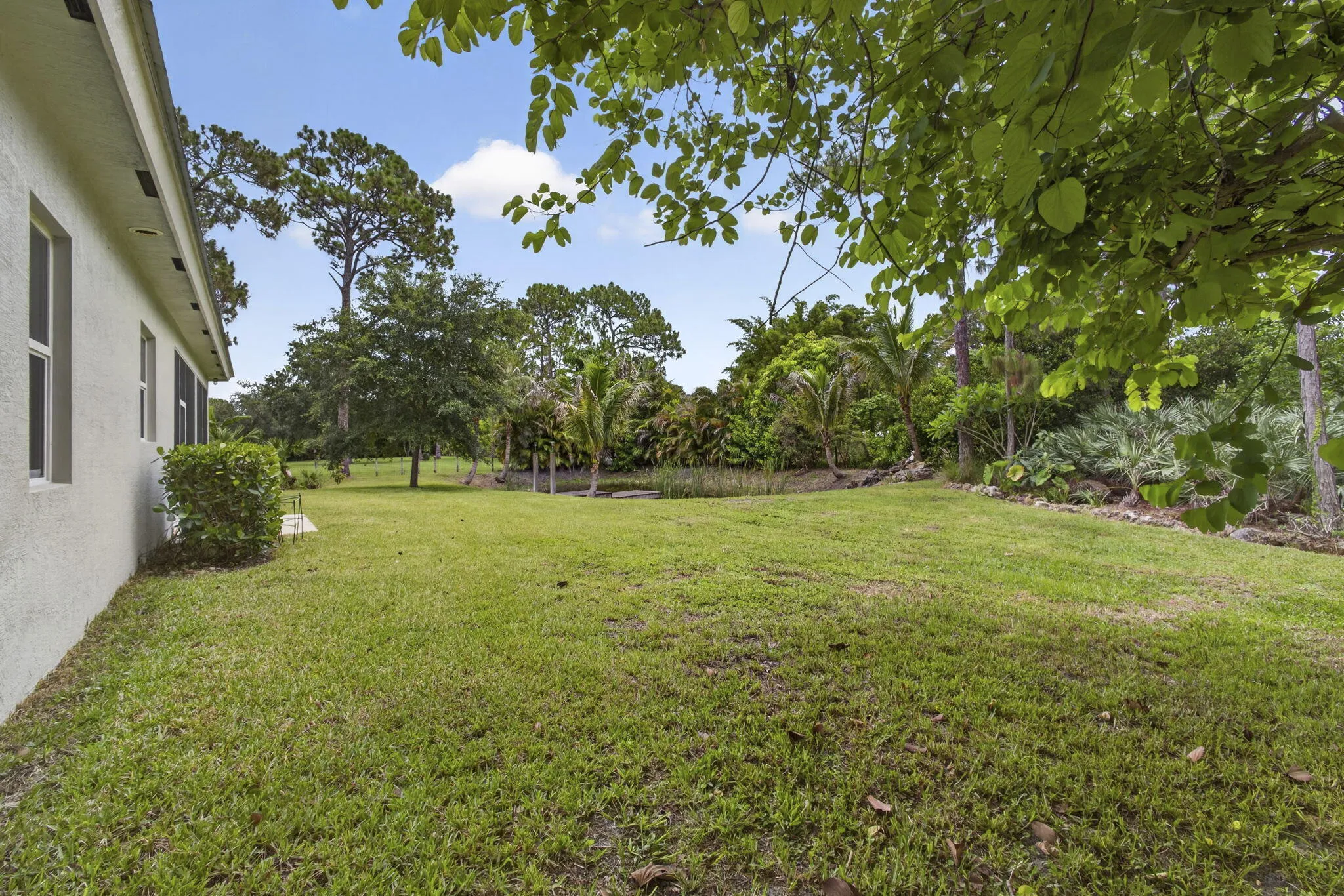 Yard