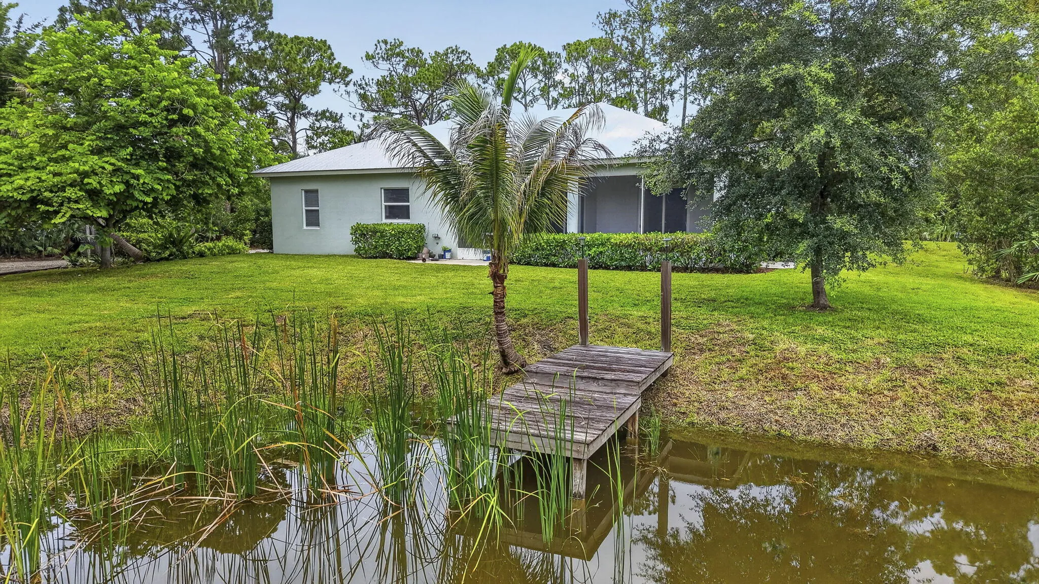 Backyard / Pond