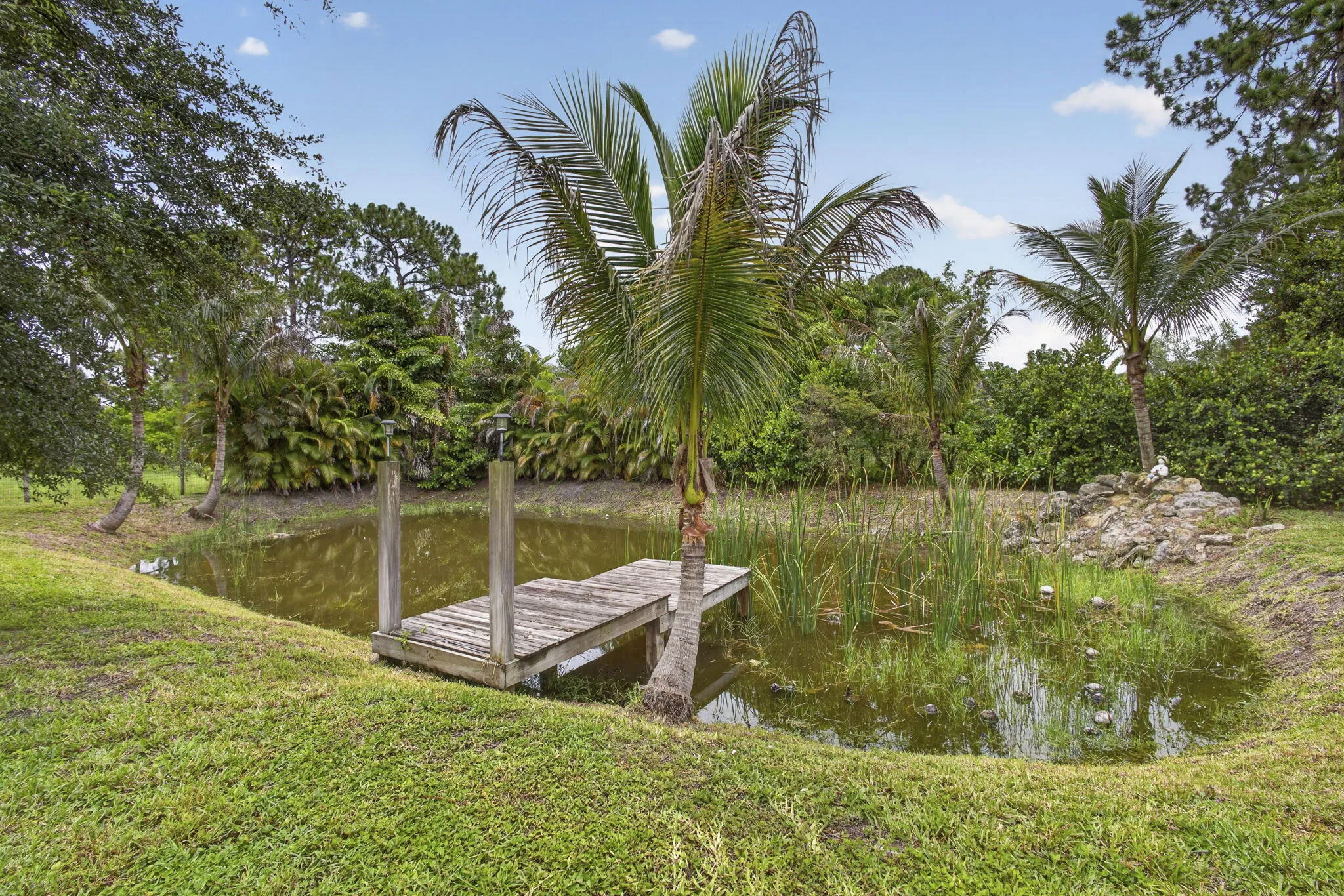 Pond