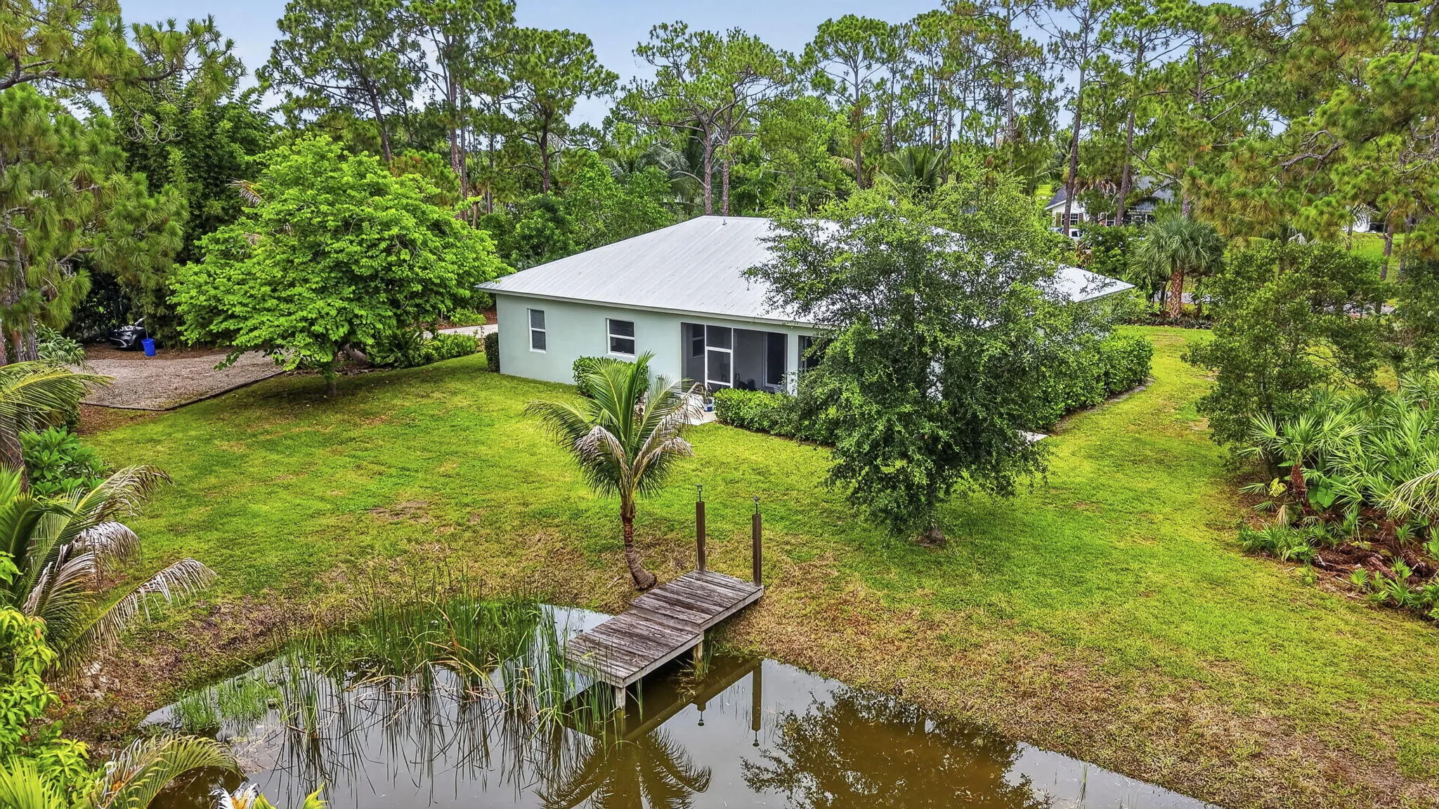 Backyard / Pond