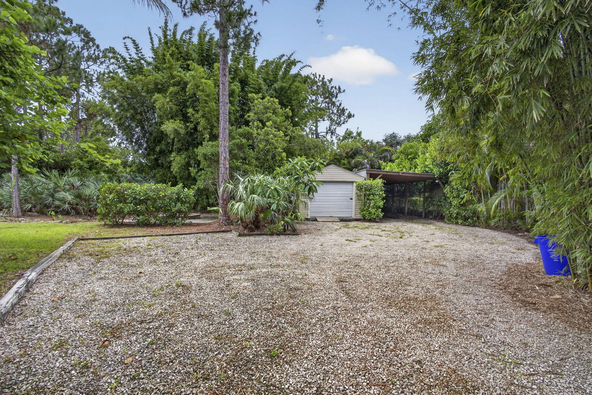 To Shed & Carport