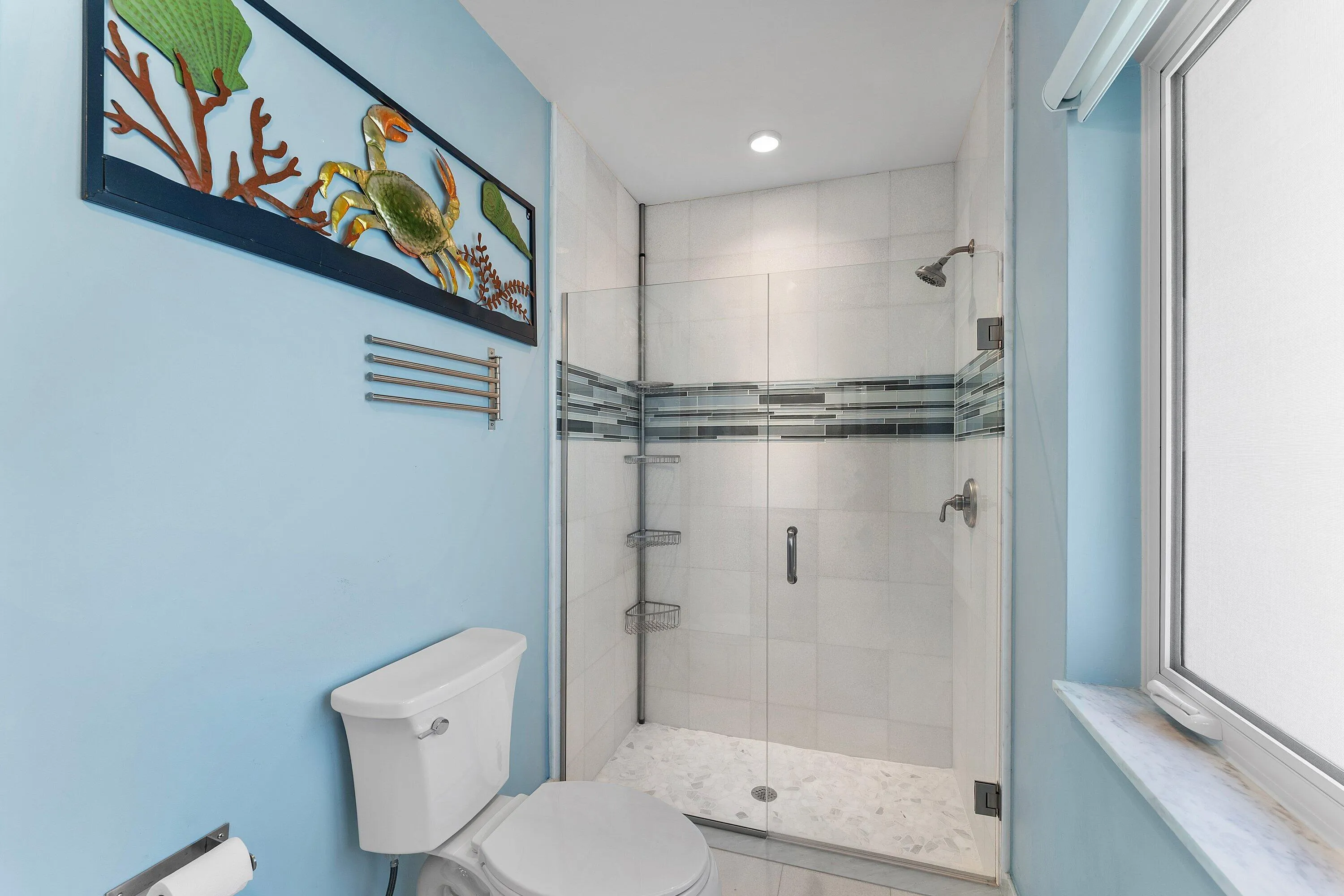 Guest Shower