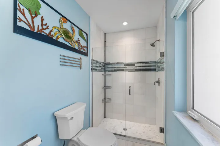 Guest Shower