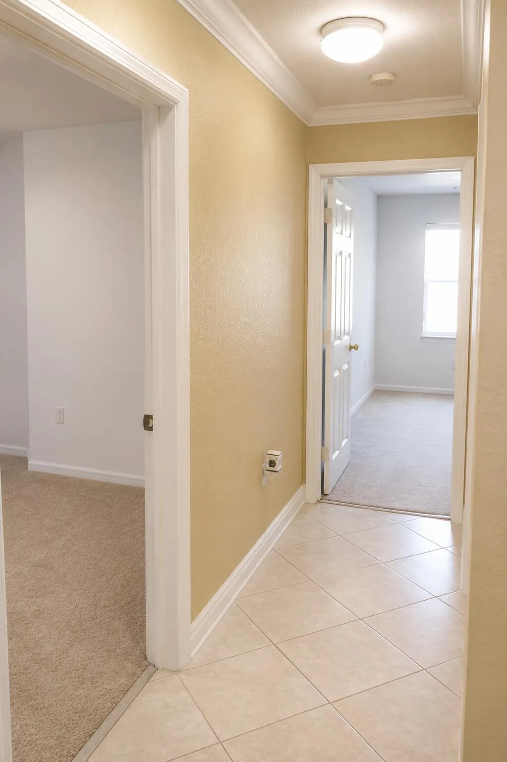 Property photo 47