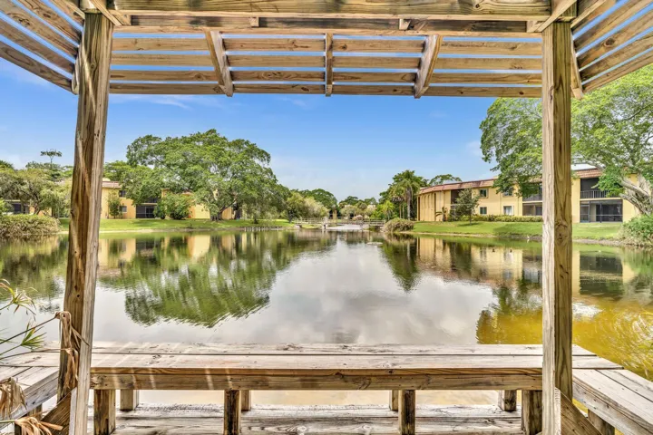 Lake view