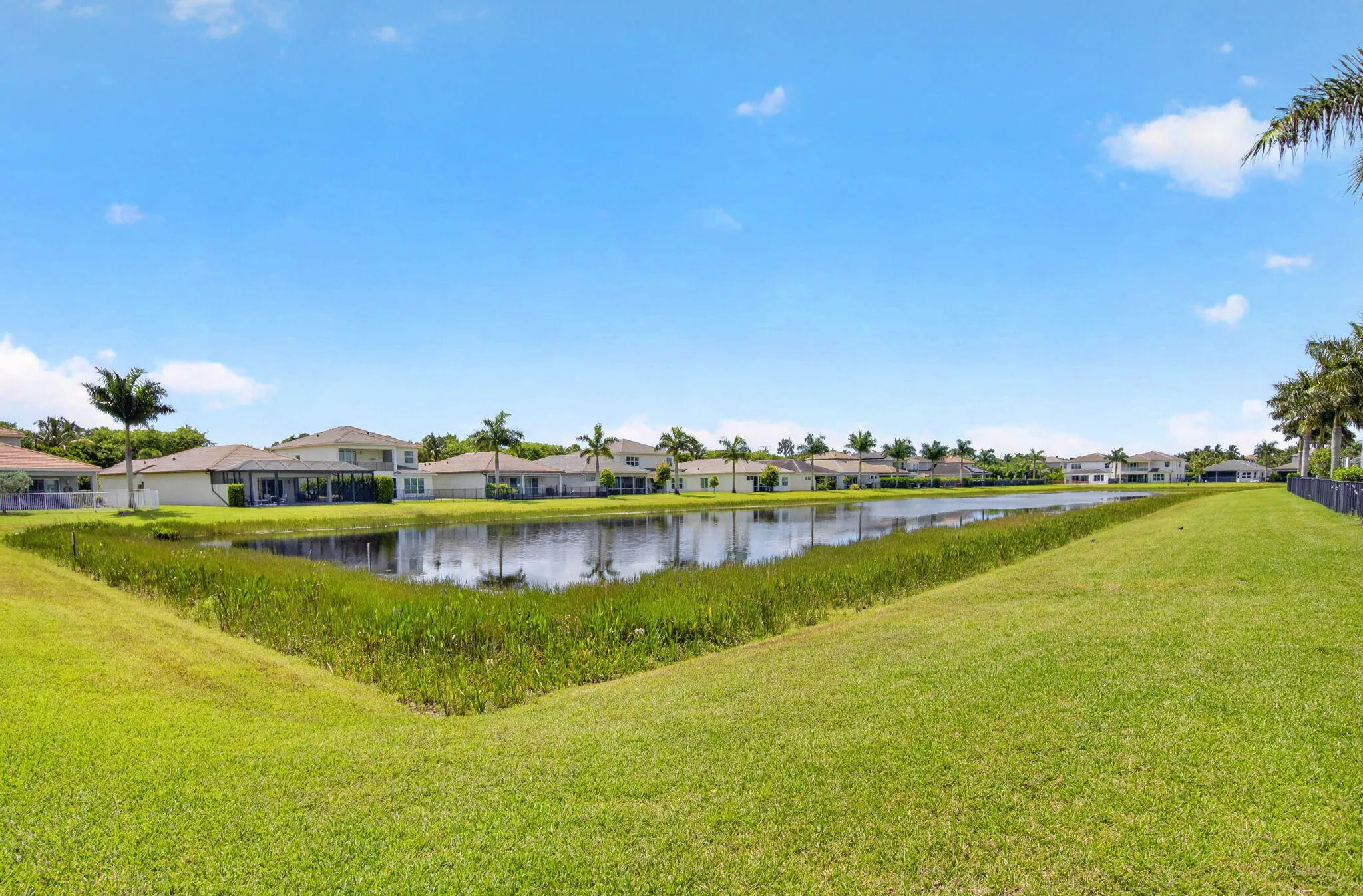 62-web-or-mls-DSC_6320