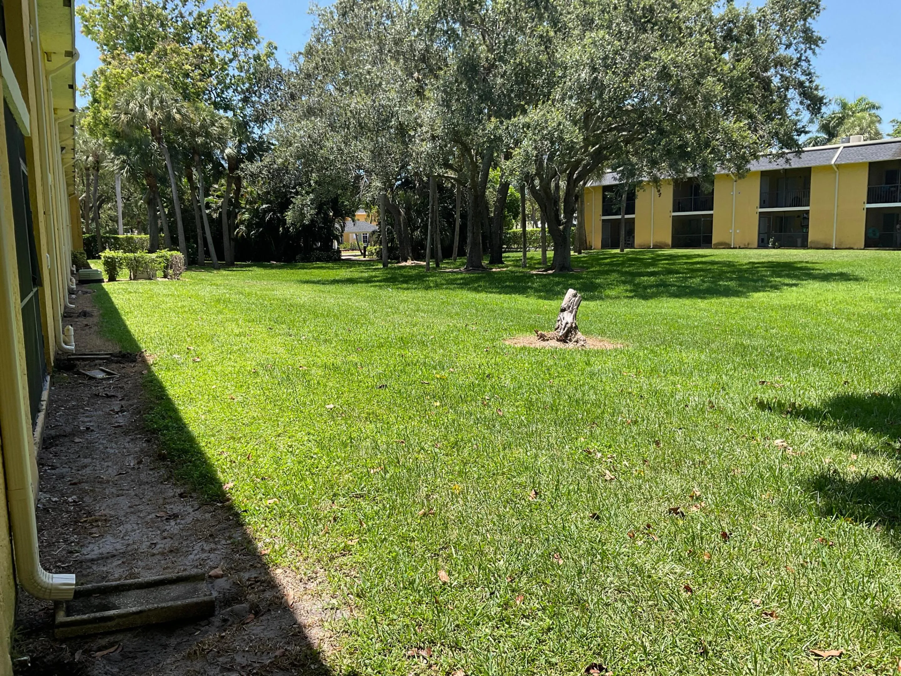 YARD VIEW