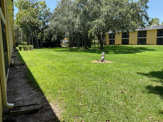 YARD VIEW