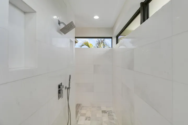 Primary Shower