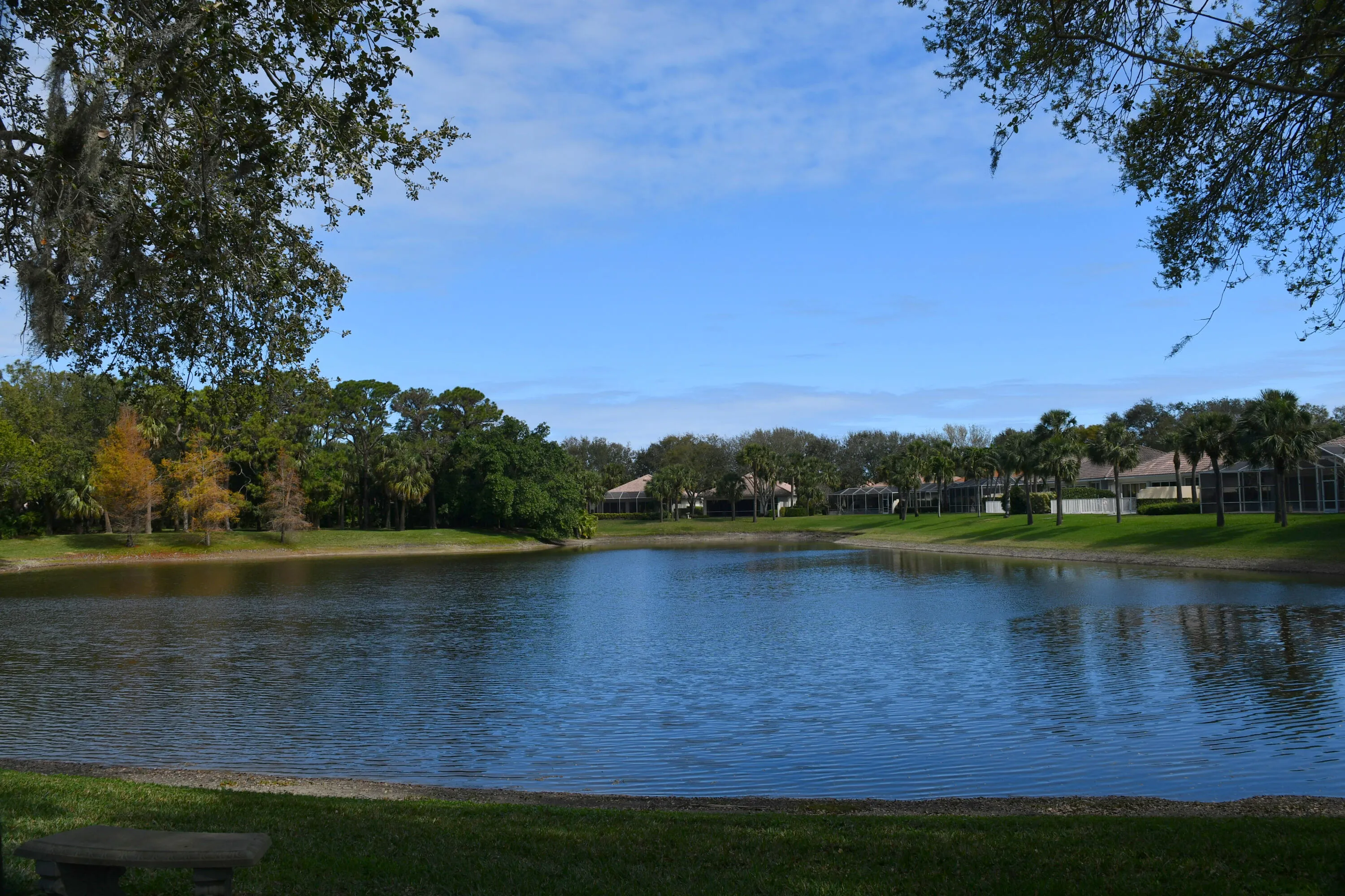 2-DSC_2451