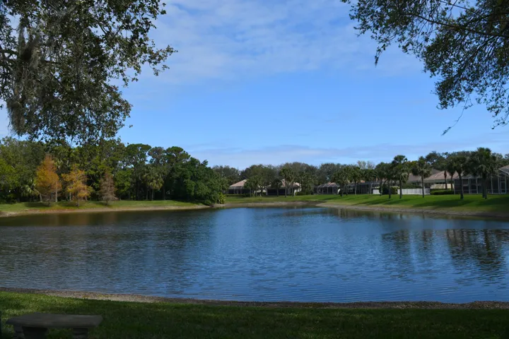 2-DSC_2451
