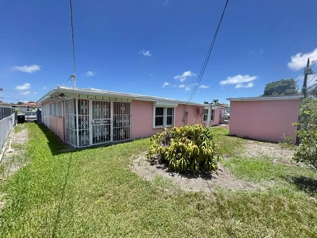 Back yard