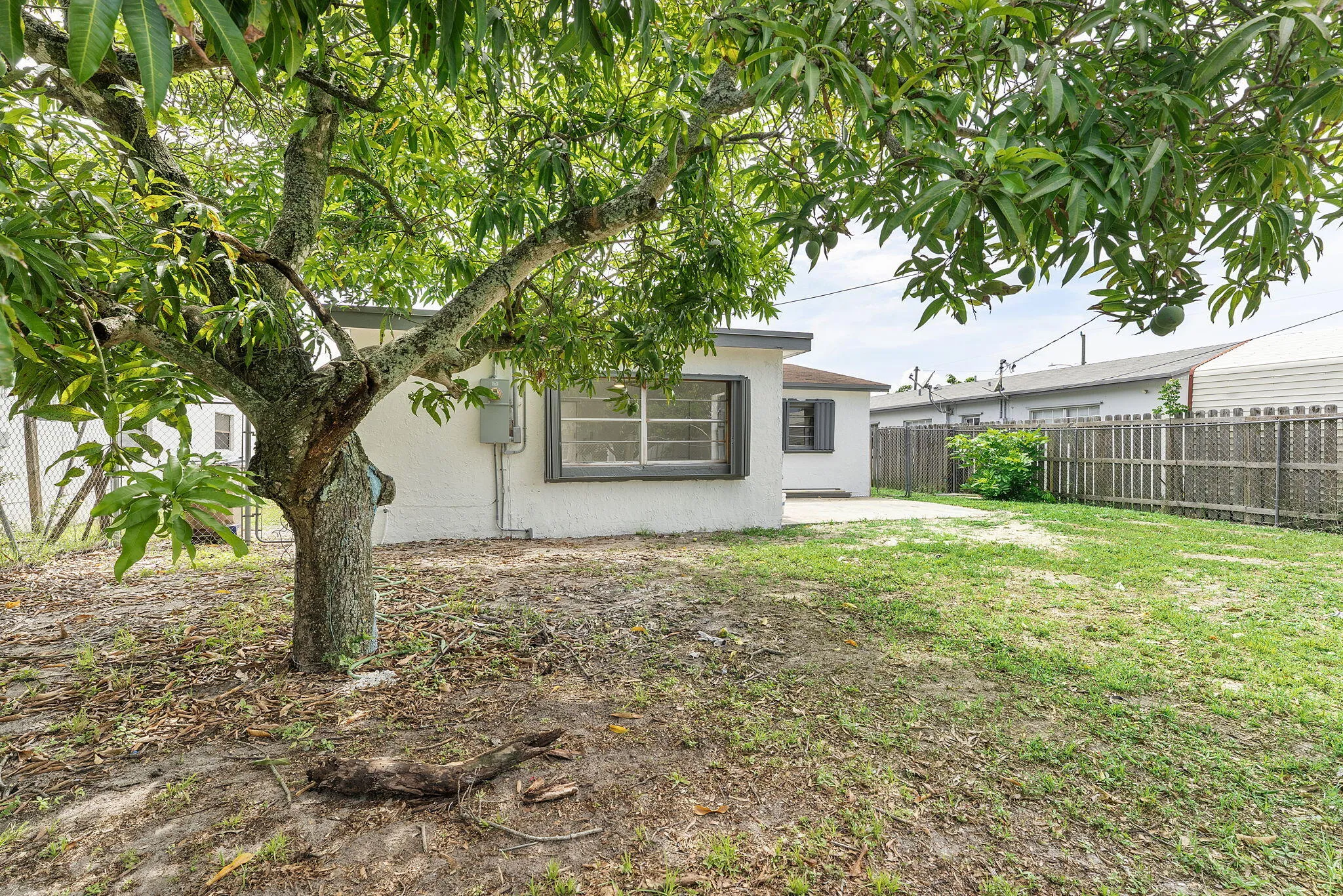 37-web-or-mls-DSC01606