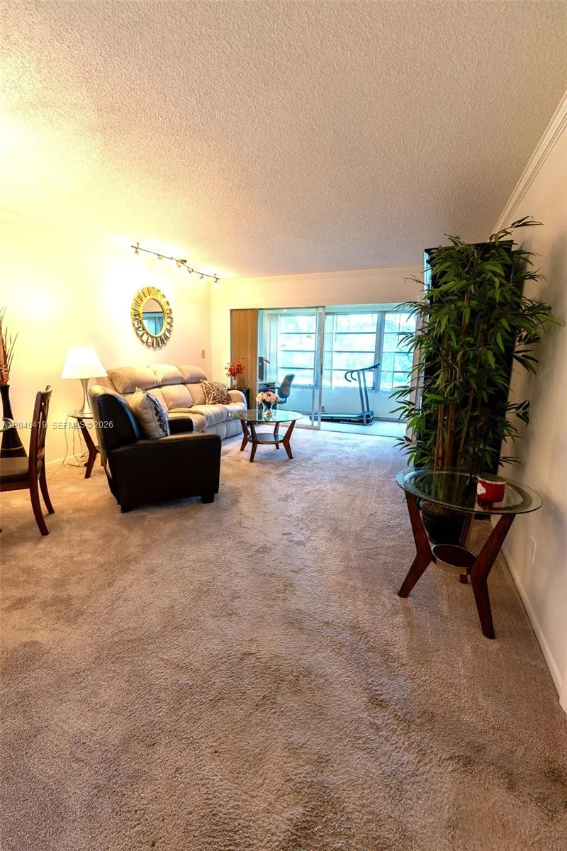 Door View Living Room