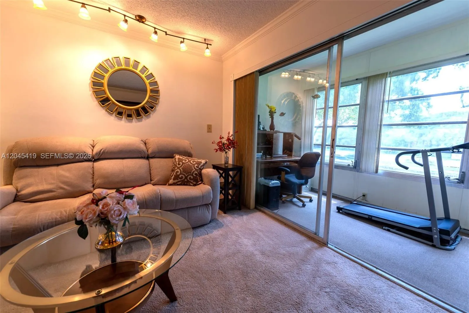 Living Room and Patio