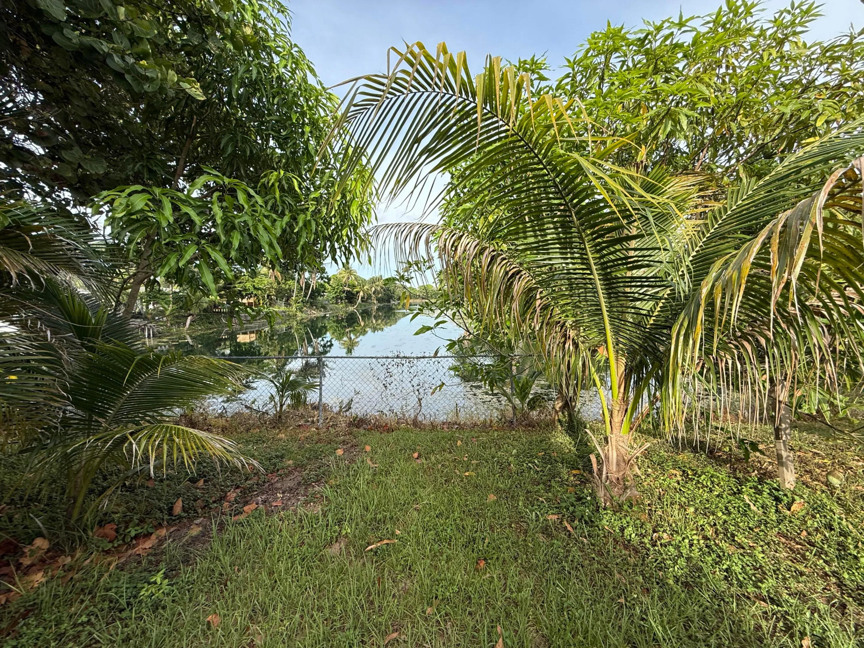 IMG_5889