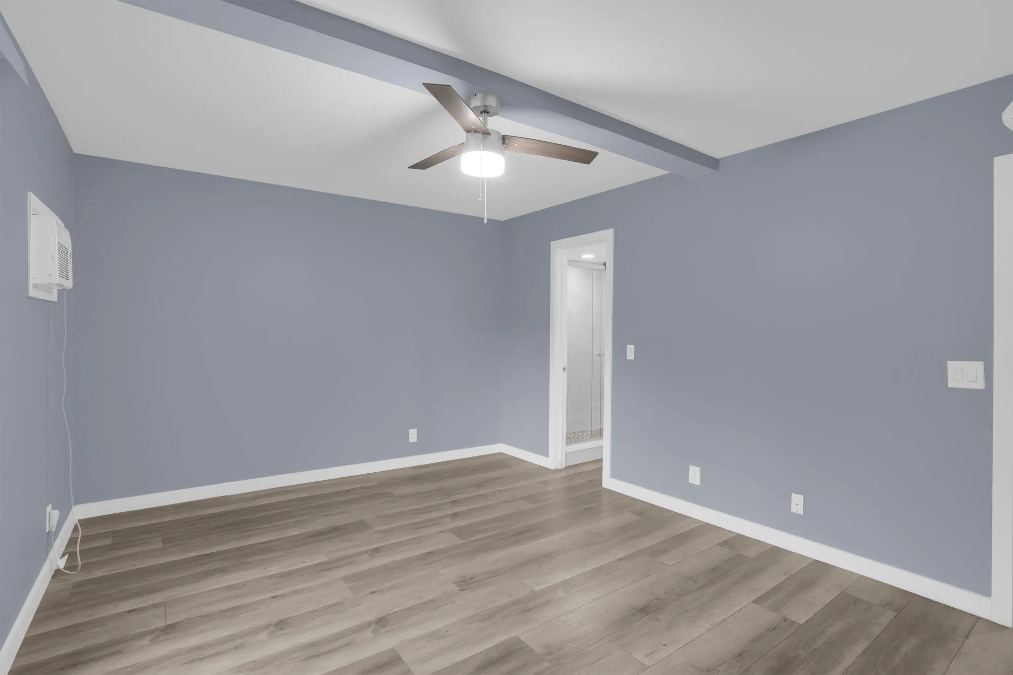 Ceiling fan with light