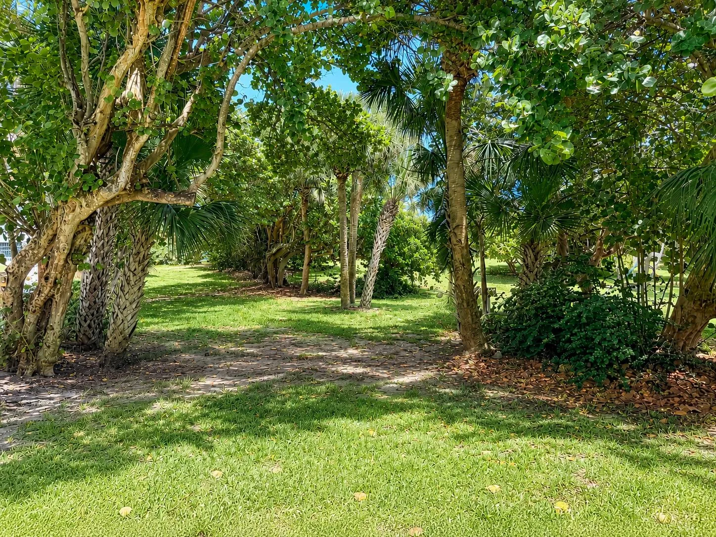 Beachside Park