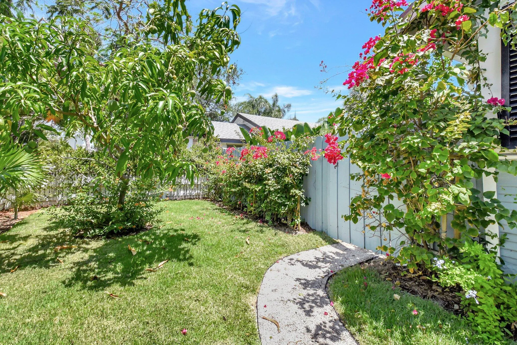 Front Yard