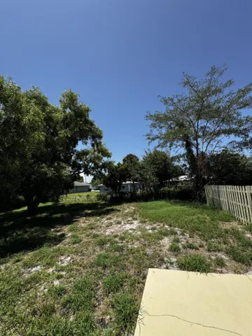 backyard
