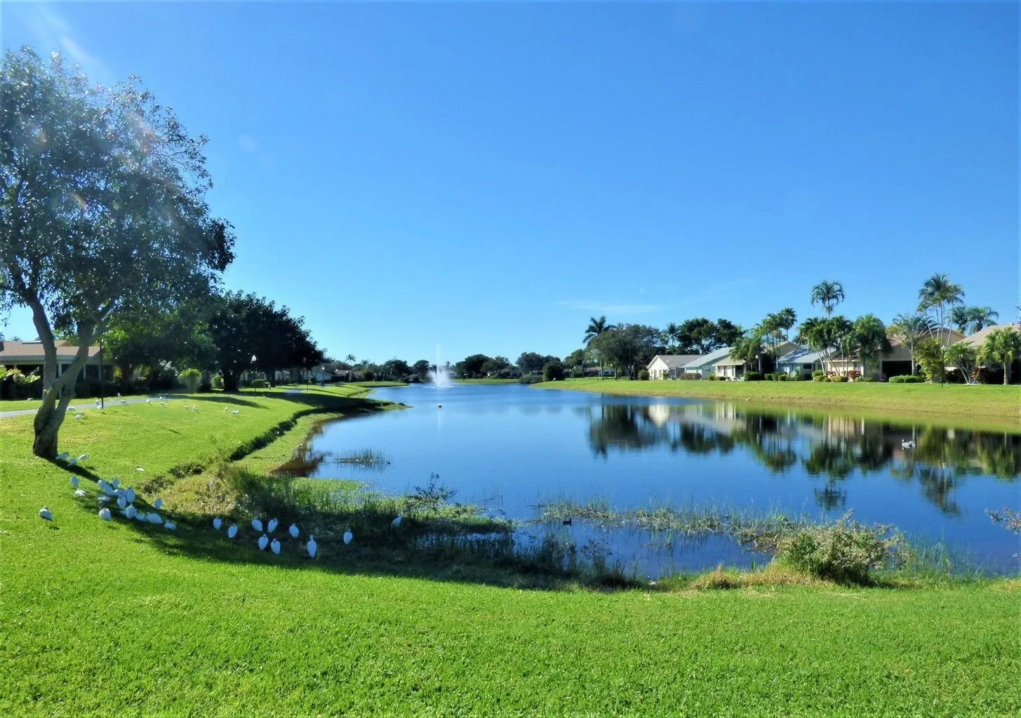 Lake view