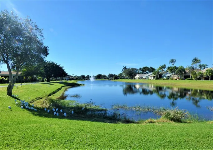 Lake view