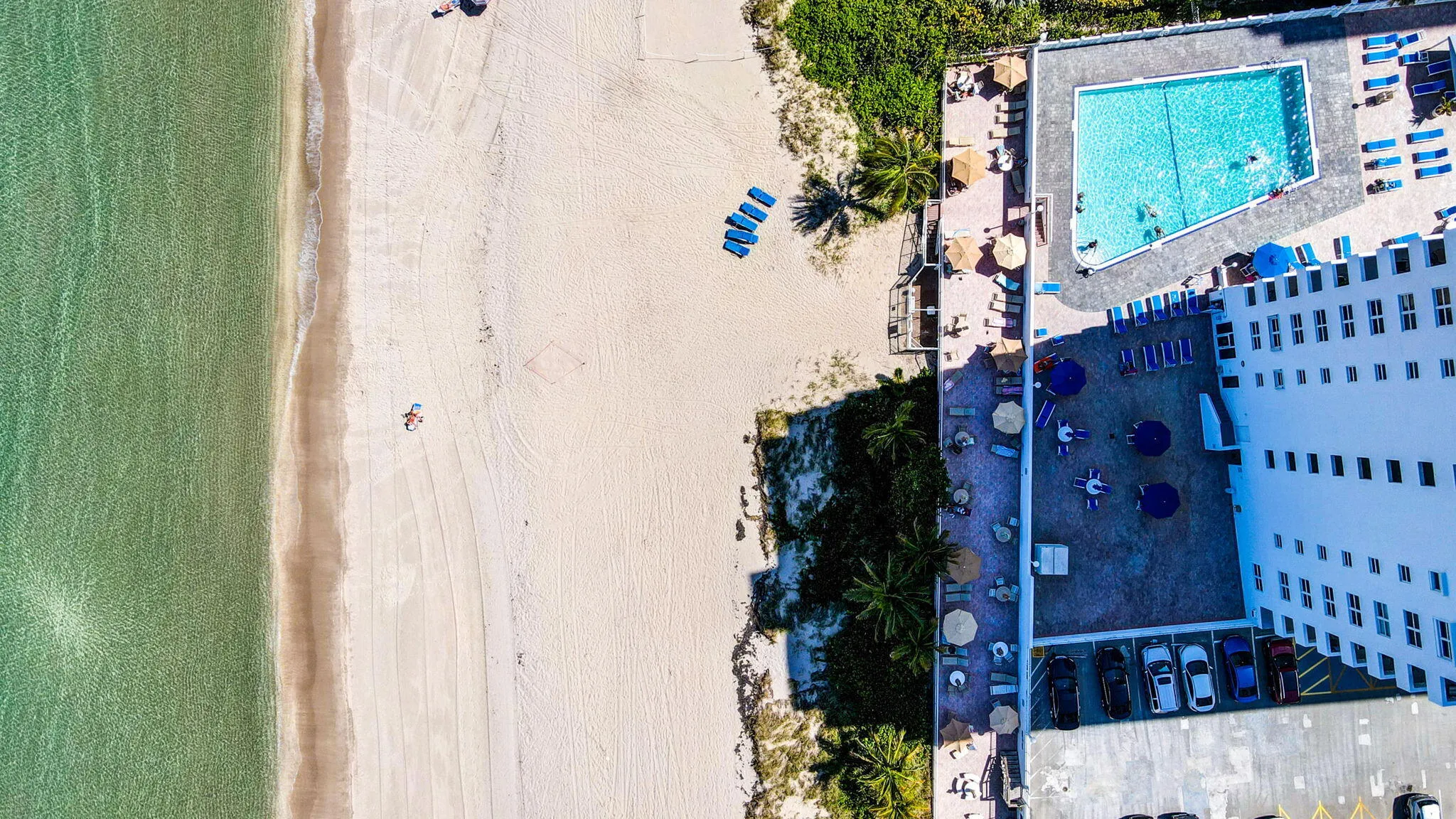 Drone Views