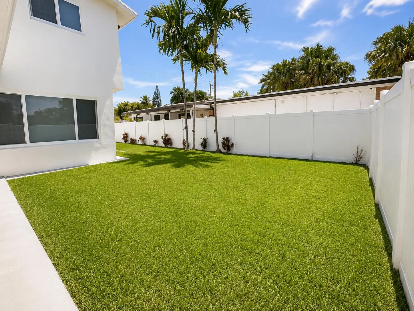 Backyard lawn