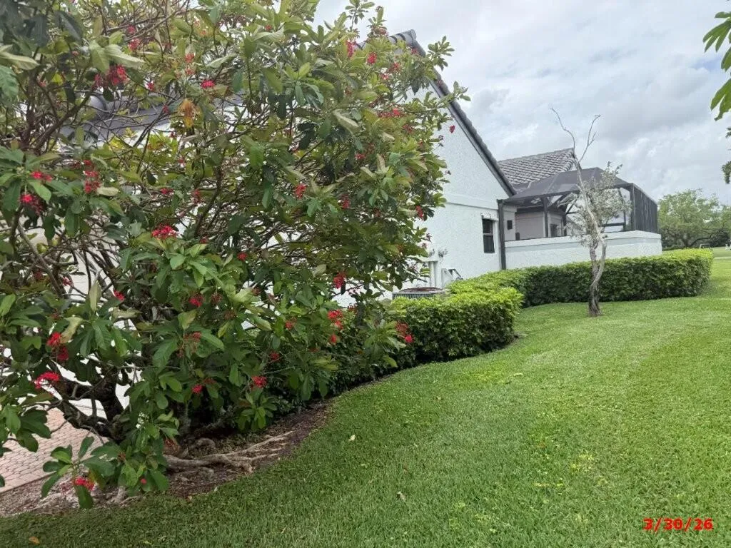 Side View