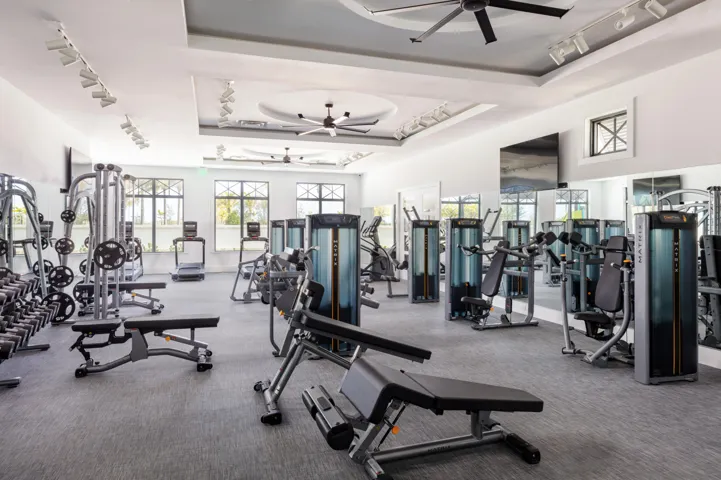 Fitness
