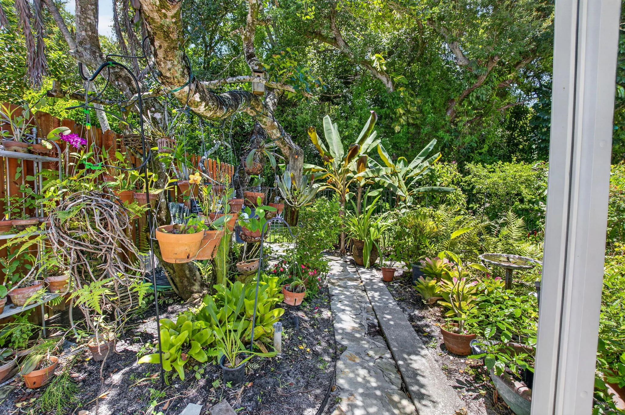 BEAUTIFUL EXOTIC PLANTS