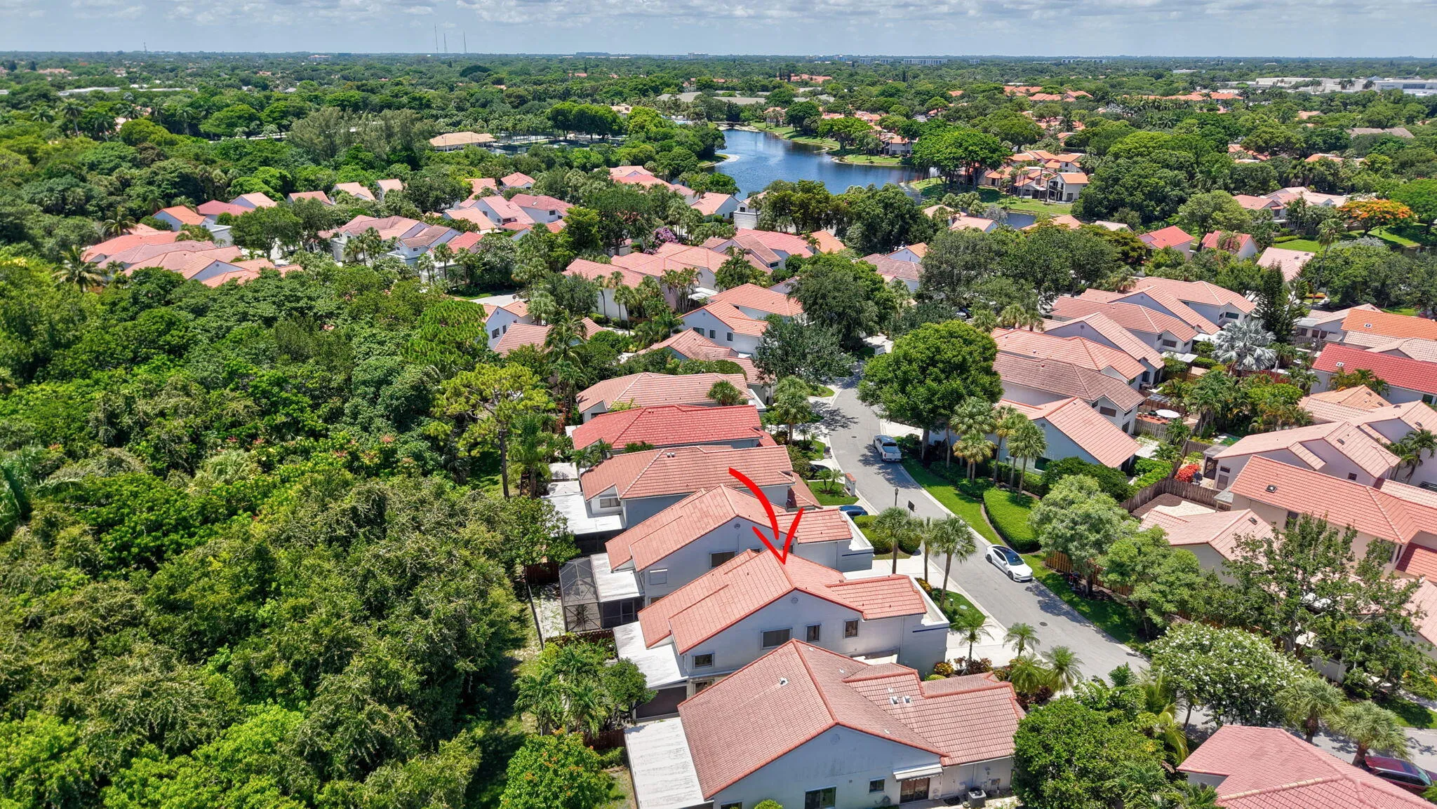 AERIAL