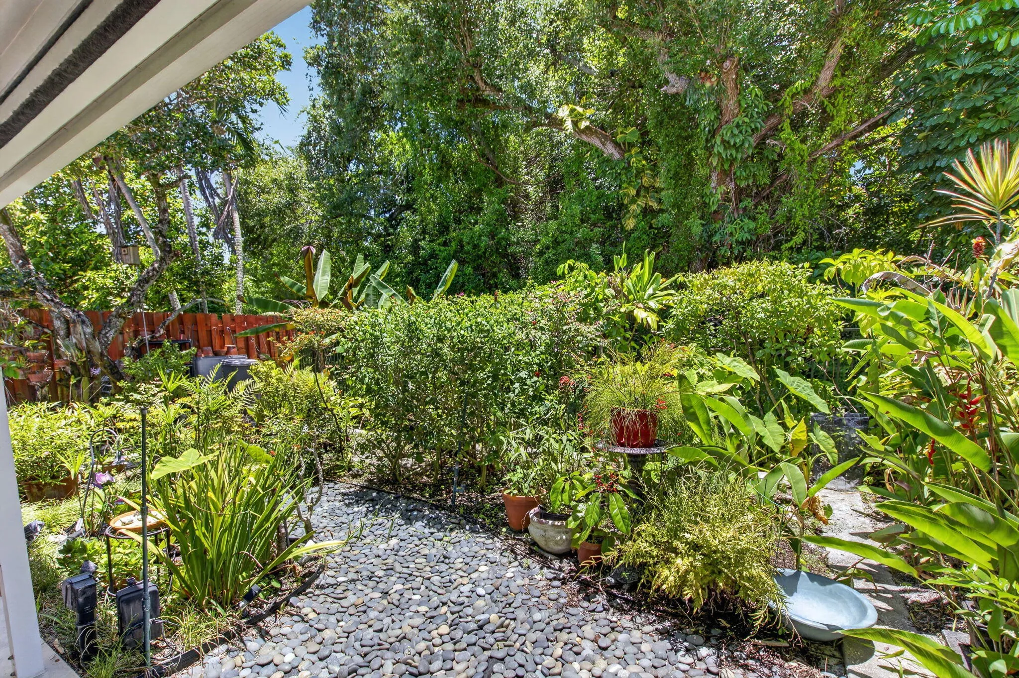 LUSH GARDENS