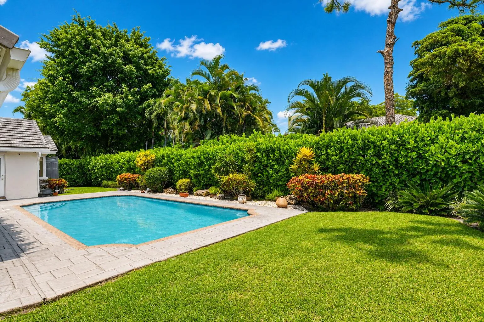 Lush Backyard