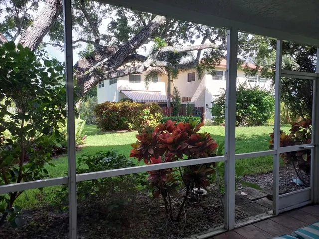 Patio view