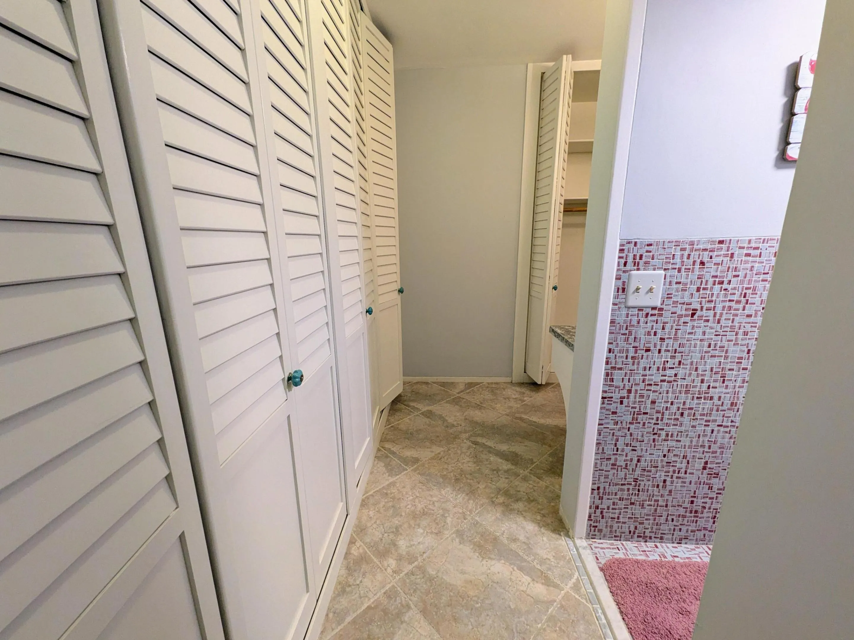 Primary bathroom closet
