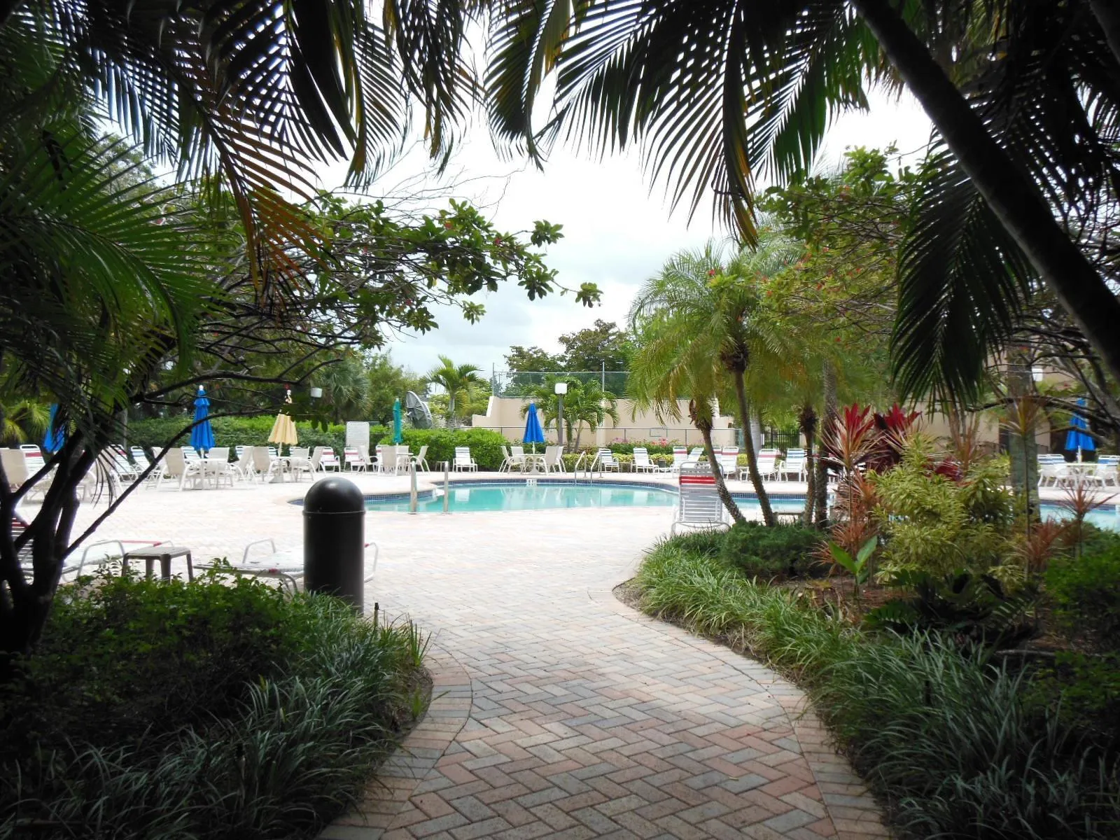 Community​​‌​​​​‌​​‌‌​‌‌​​​‌‌​‌​‌​‌​​​‌​​ Pool