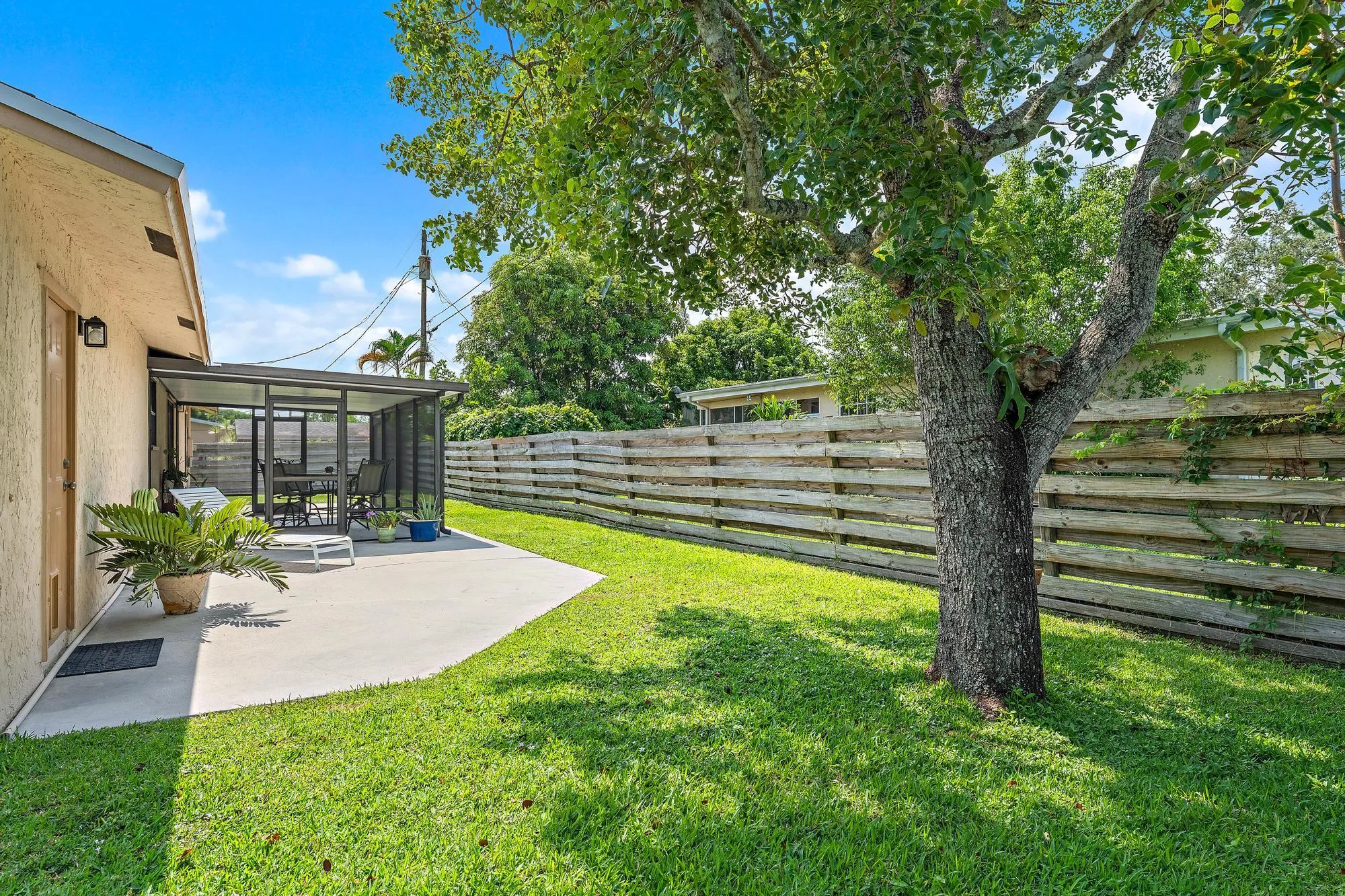 Backyard west side