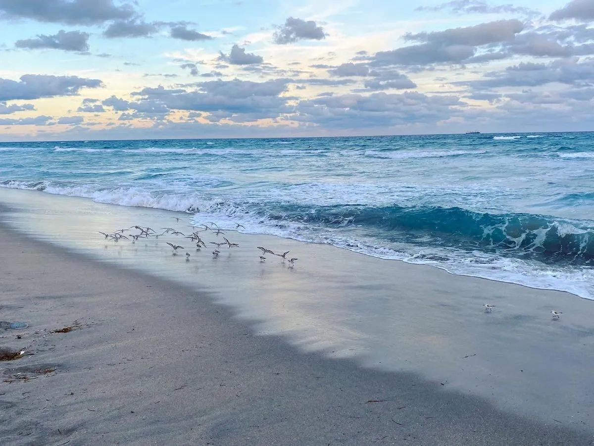 Bike to Beach