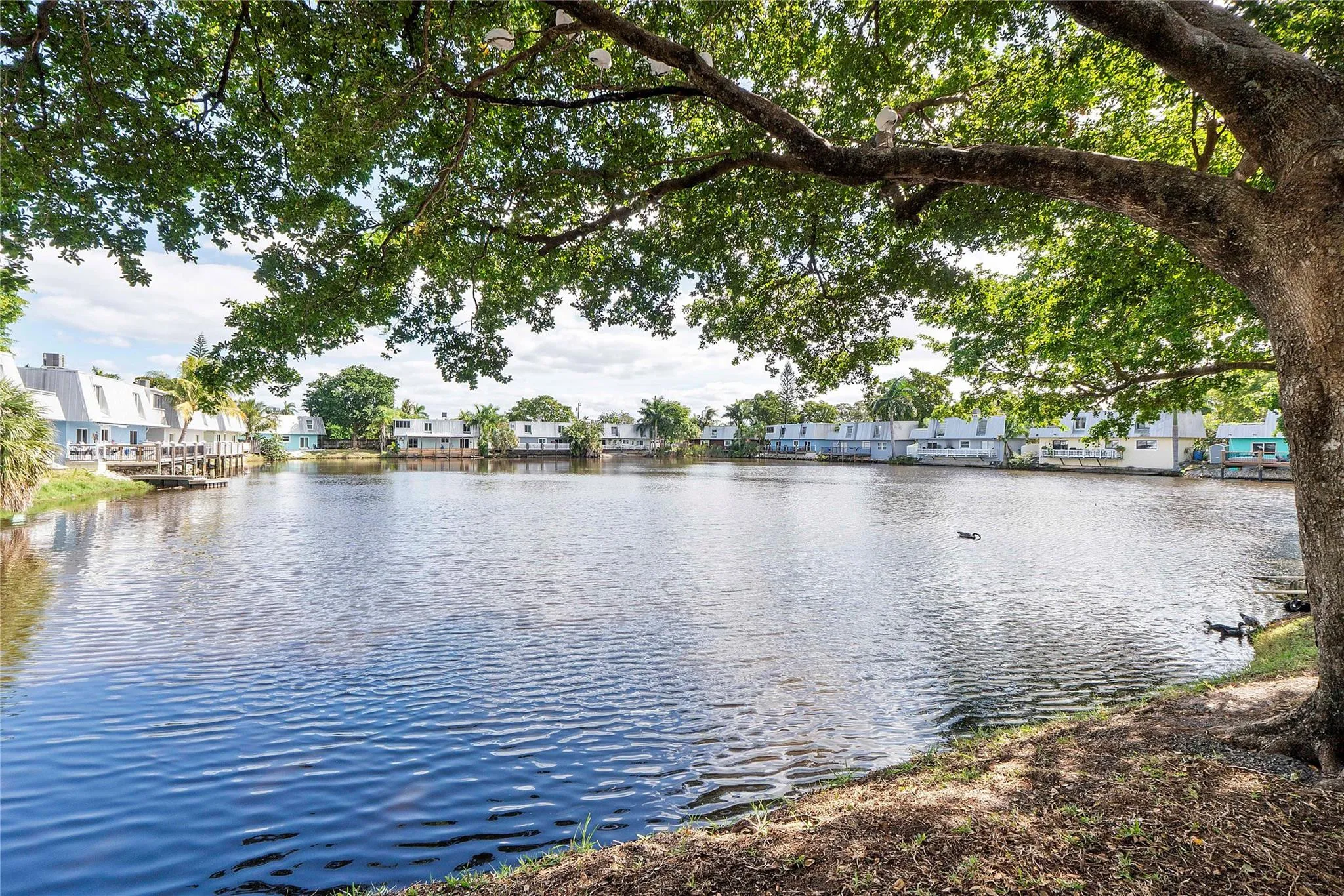 Lake