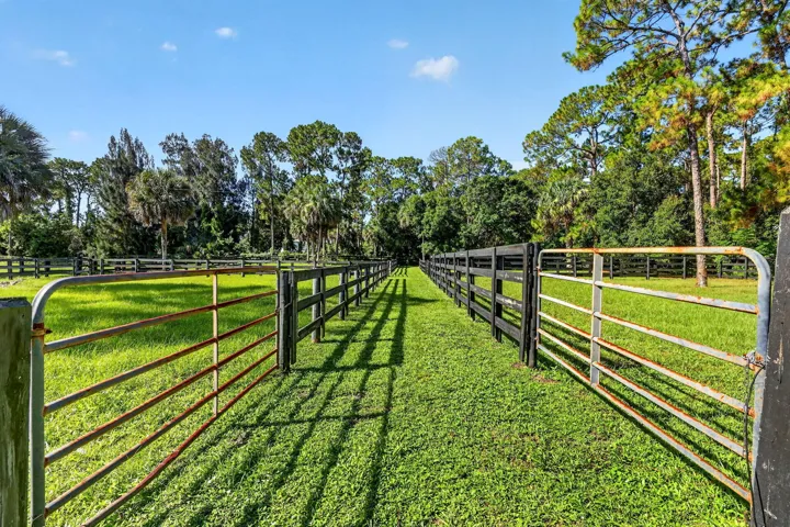 109-web-or-mls-5P1A5563