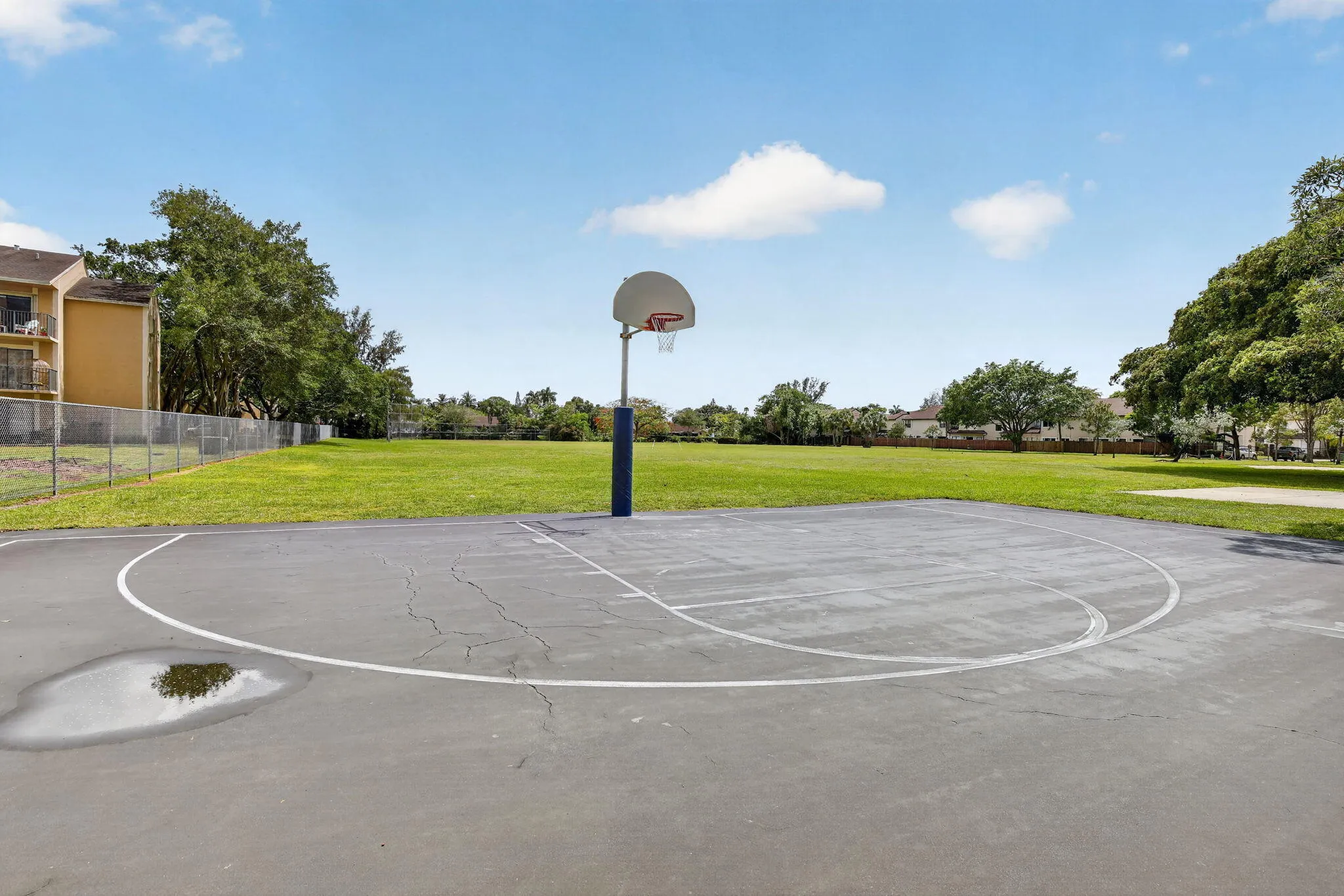 Basketball Court